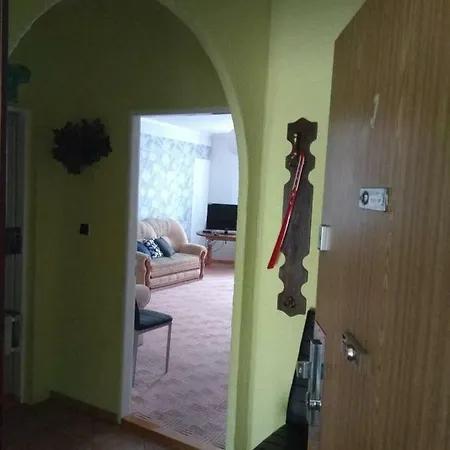 Apartmán Vitezna Karlovy Vary